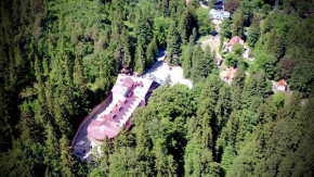 Отель Hotel EUROPA - Górnicza Strzecha, Шклярска-Поремба